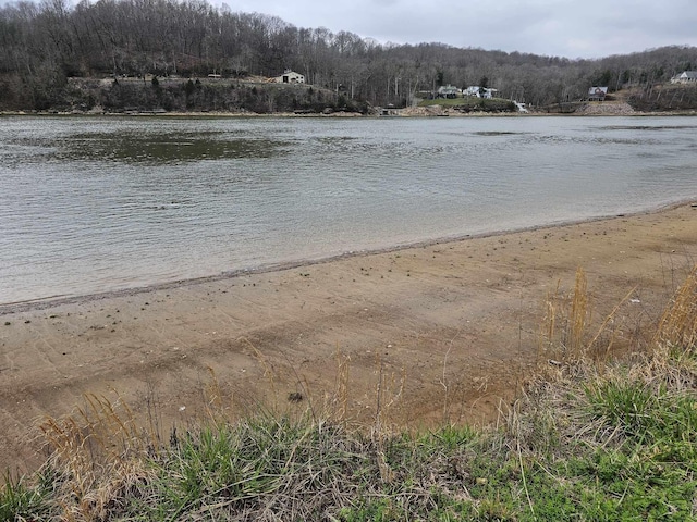 1901 Hardin Bottom River Rd, Clifton, TN 38425 - photo 6