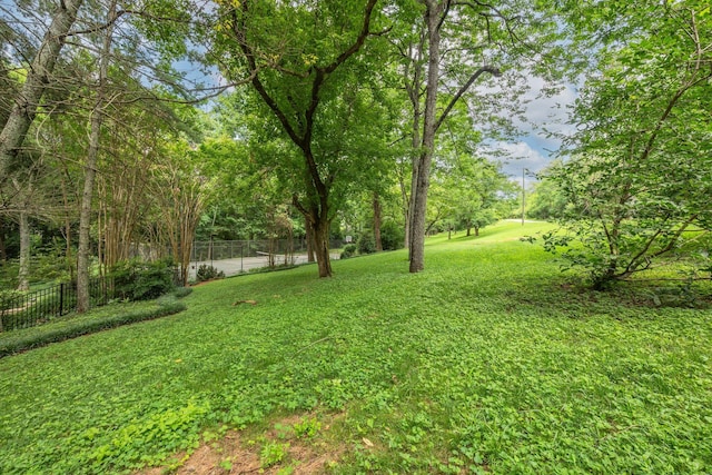 1252 Saxon Dr, Nashville, TN 37215 - photo 57