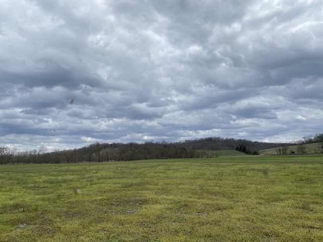 0 Rock Springs Rd, Charlotte, TN 37036 - photo 5