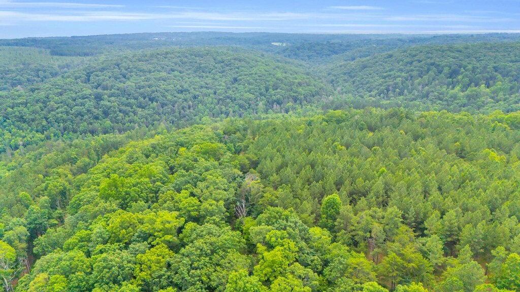 0 Worley Rd, Soddy Daisy, TN 37379 - photo 1