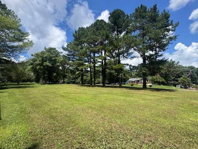 7115 Tupelo Dr, Fairview, TN 37062 - photo 16