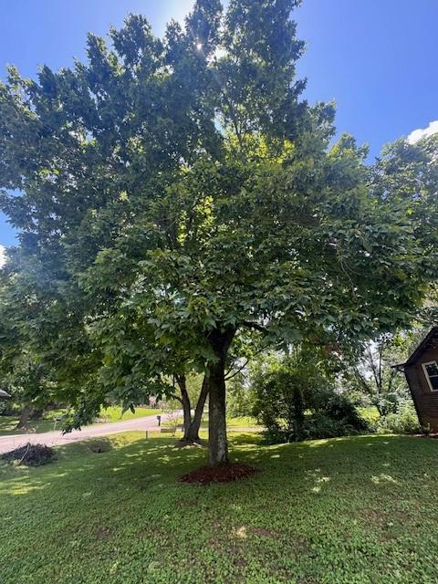 7115 Tupelo Dr, Fairview, TN 37062 - photo 9