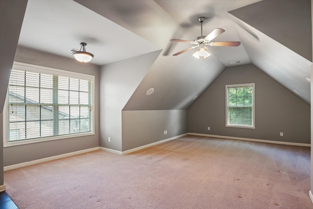 3220 Robinwood Dr, Murfreesboro, TN 37128 - photo 48