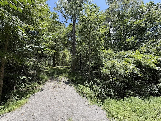 114 White Springs Rd, Lafayette, TN 37083 - photo 15