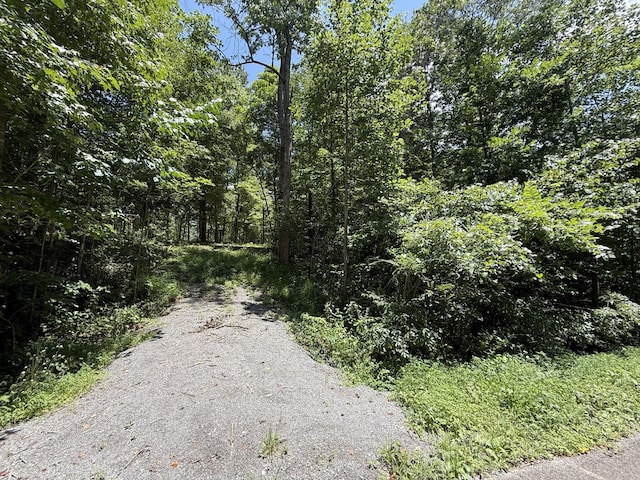 114 White Springs Rd, Lafayette, TN 37083 - photo 16