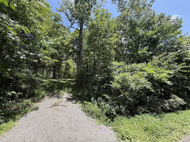 114 White Springs Rd, Lafayette, TN 37083 - photo 1