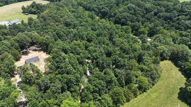 114 White Springs Rd, Lafayette, TN 37083 - photo 4