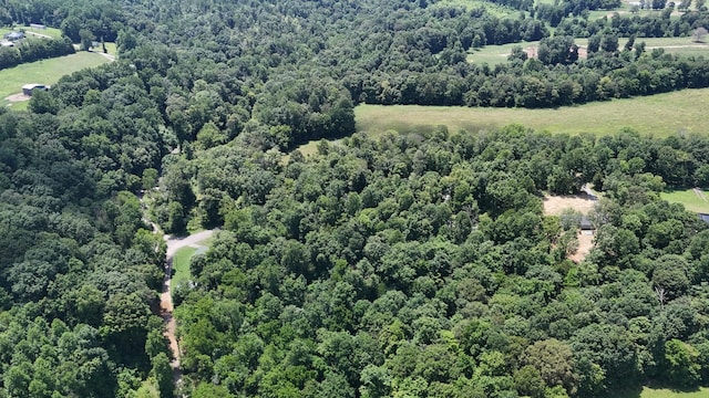 114 White Springs Rd, Lafayette, TN 37083 - photo 10