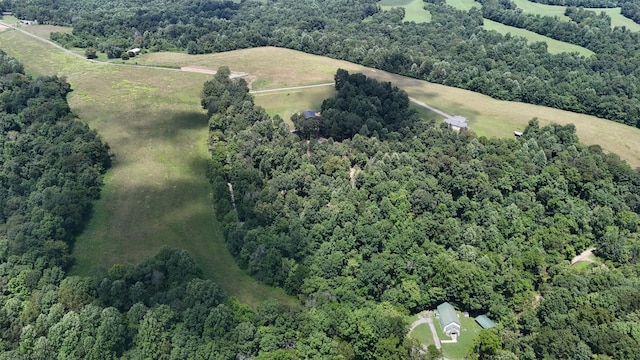 114 White Springs Rd, Lafayette, TN 37083 - photo 6