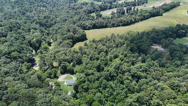 114 White Springs Rd, Lafayette, TN 37083 - photo 7
