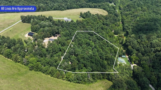 114 White Springs Rd, Lafayette, TN 37083 - photo 3