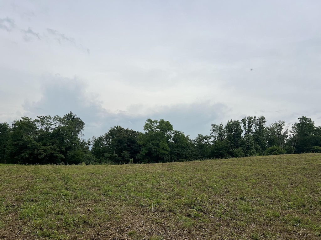 5 Annie Hollow Rd, Westmoreland, TN 37186 - photo 2