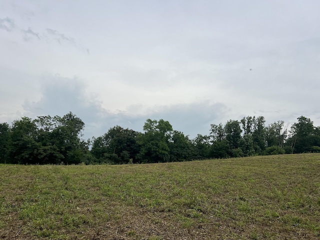 5 Annie Hollow Rd, Westmoreland, TN 37186 - photo 2