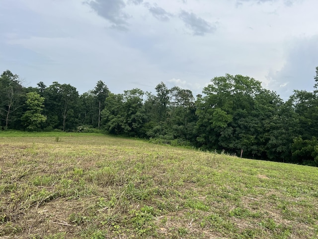 5 Annie Hollow Rd, Westmoreland, TN 37186 - photo 1