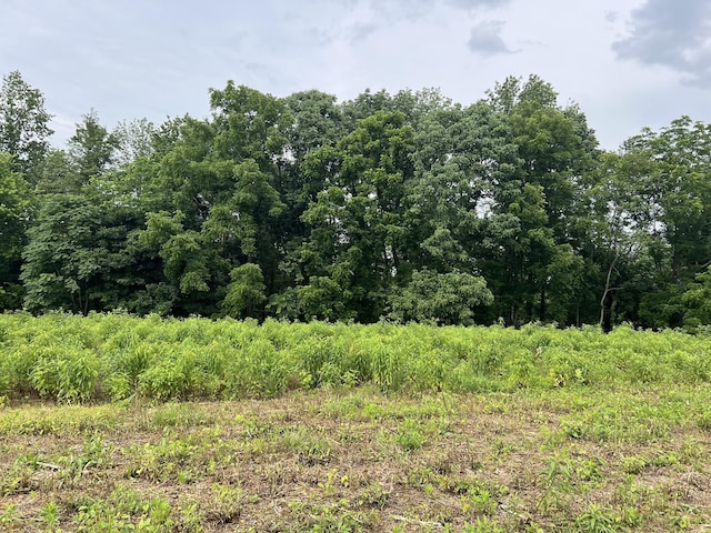 6 Annie Hollow Rd, Westmoreland, TN 37186 - photo 1