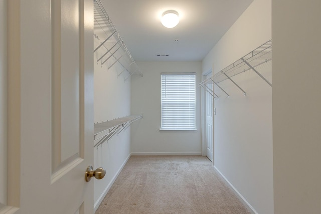 304 Kinsale Dr, Spring Hill, TN 37174 - photo 15