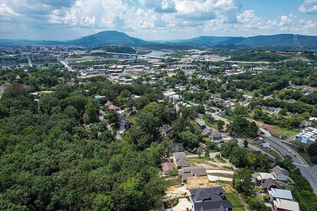 804 Dallas Rd, Chattanooga, TN 37405 - photo 43