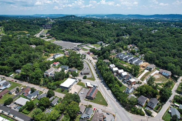 804 Dallas Rd, Chattanooga, TN 37405 - photo 41