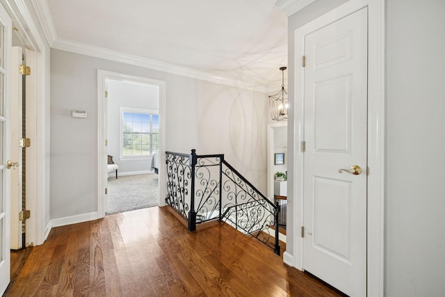 101 Spicer Ct, White House, TN 37188 - photo 15