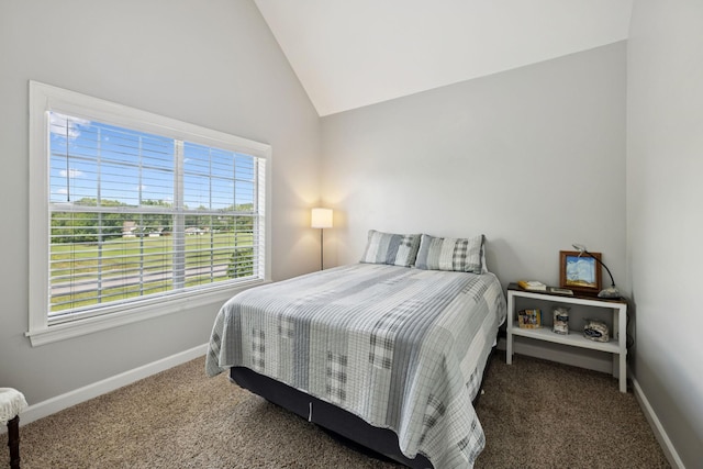101 Spicer Ct, White House, TN 37188 - photo 26