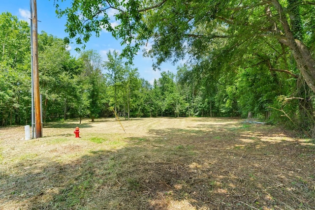 0 Majestic Dr, Decherd, TN 37324 - photo 10