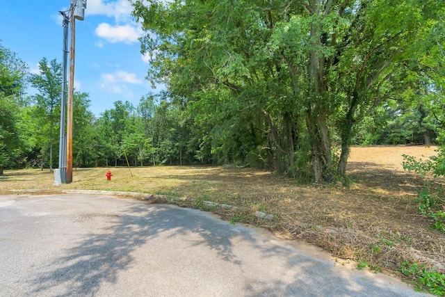 0 Majestic Dr, Decherd, TN 37324 - photo 15