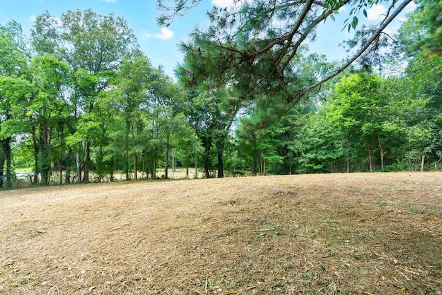 0 Majestic Dr, Decherd, TN 37324 - photo 18