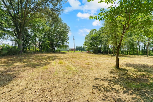 0 Majestic Dr, Decherd, TN 37324 - photo 6
