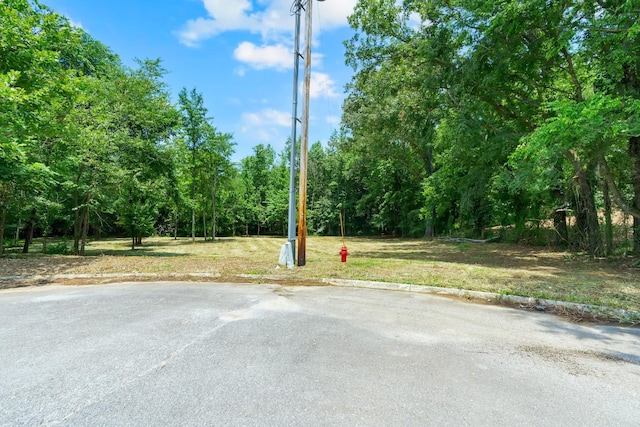 0 Majestic Dr, Decherd, TN 37324 - photo 13