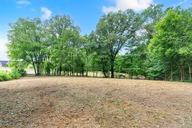 0 Majestic Dr, Decherd, TN 37324 - photo 19