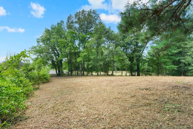0 Majestic Dr, Decherd, TN 37324 - photo 17
