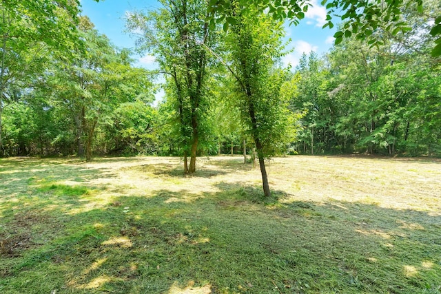 0 Majestic Dr, Decherd, TN 37324 - photo 9