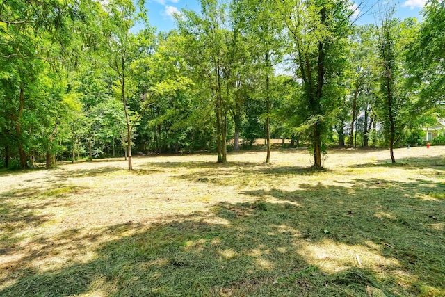 0 Majestic Dr, Decherd, TN 37324 - photo 8