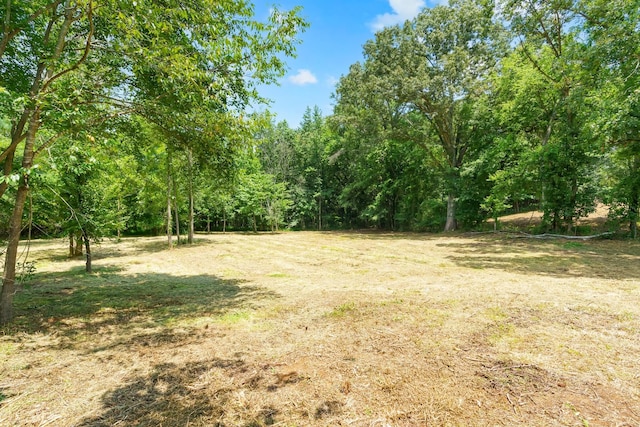 0 Majestic Dr, Decherd, TN 37324 - photo 4