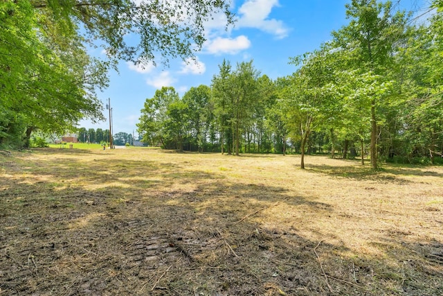 0 Majestic Dr, Decherd, TN 37324 - photo 3