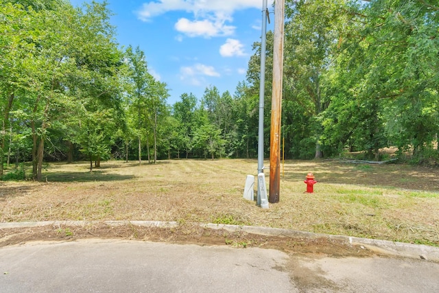0 Majestic Dr, Decherd, TN 37324 - photo 11
