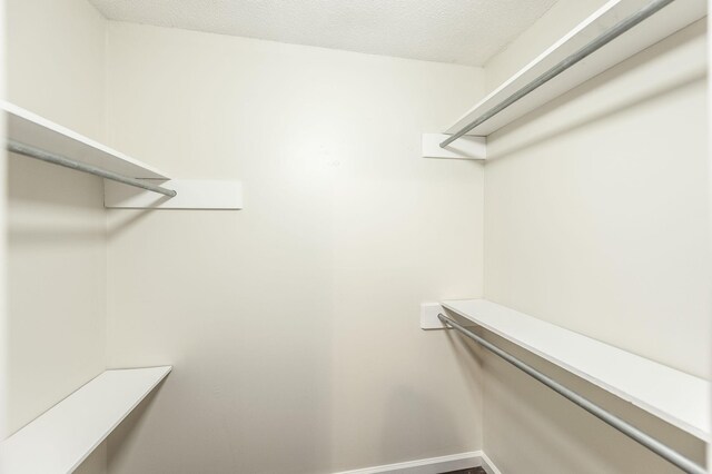 528 Bruce Jenner Dr, Clarksville, TN 37042 - photo 44