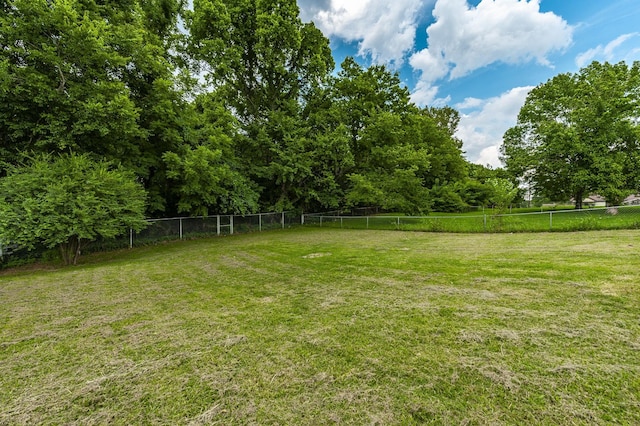 528 Bruce Jenner Dr, Clarksville, TN 37042 - photo 16