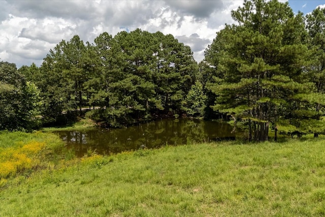 1611 Chisholm Rd, Cypress Inn, TN 38452 - photo 37