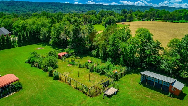 575 W Nickajack Rd, Ringgold, GA 30736 - photo 93