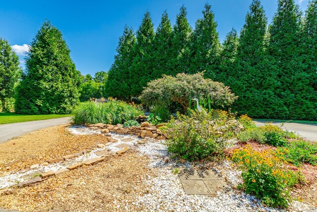 575 W Nickajack Rd, Ringgold, GA 30736 - photo 78