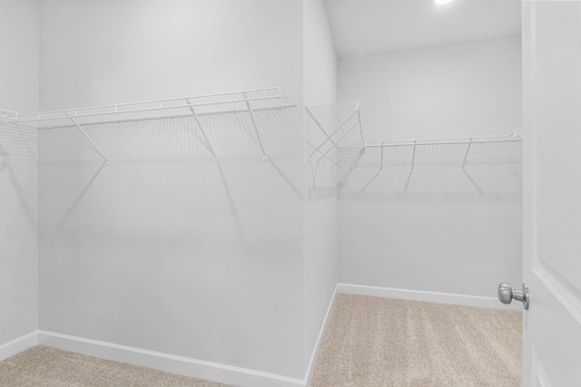 253 W Millbrook Dr, Spring Hill, TN 37174 - photo 12