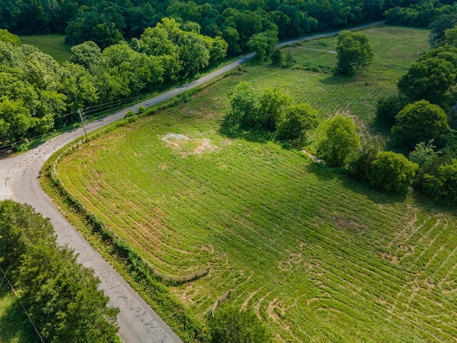 11B Double Br, Columbia, TN 38401 - photo 52