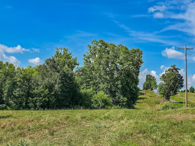 11B Double Br, Columbia, TN 38401 - photo 42