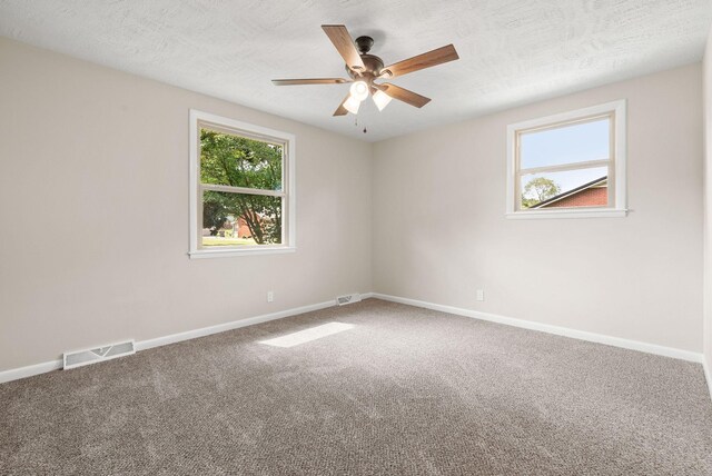 5009 Collinwood Dr, Clarksville, TN 37042 - photo 16