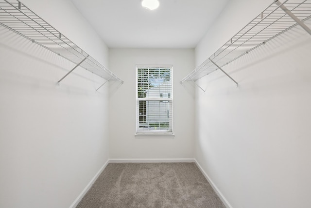2043 Nashboro Blvd, Nashville, TN 37217 - photo 26