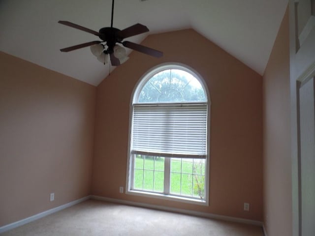 4381 Taylor Hall Ln, Adams, TN 37010 - photo 9