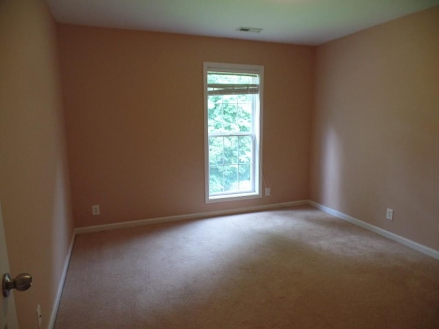 4381 Taylor Hall Ln, Adams, TN 37010 - photo 11