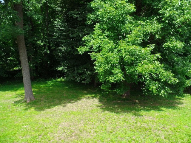 4381 Taylor Hall Ln, Adams, TN 37010 - photo 16