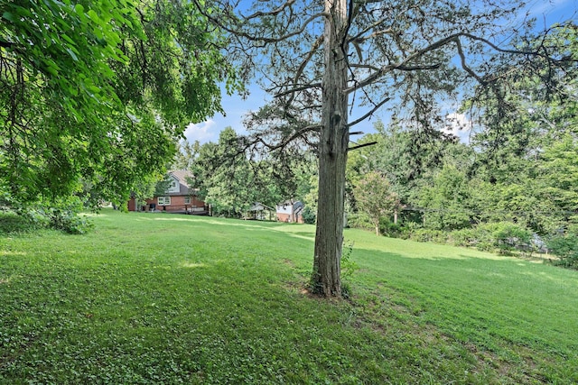 2109 Brookview Dr, Nashville, TN 37214 - photo 50